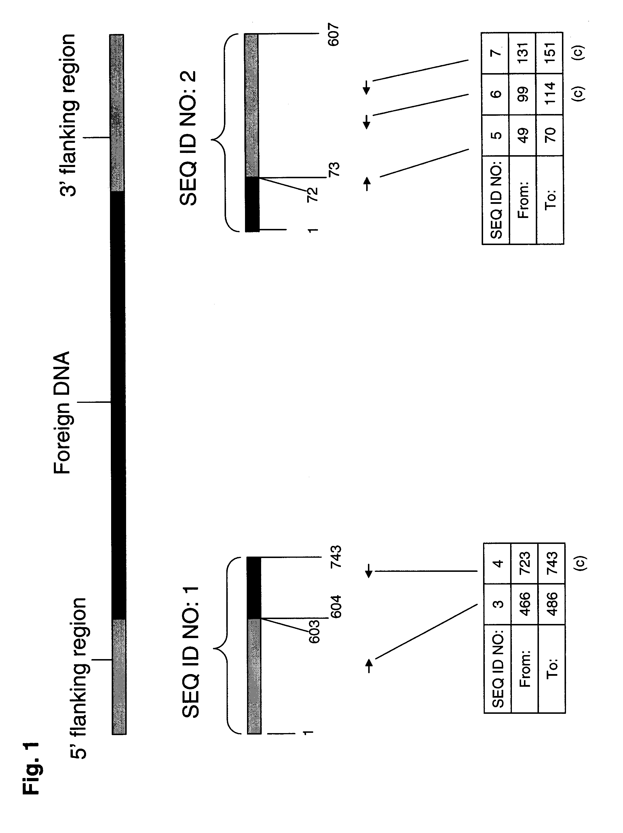 Herbicide tolerant rice plants and methods for identifying same