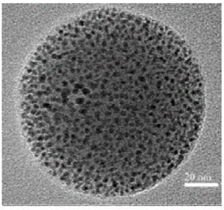 Gd&lt;3+&gt;-induced self-assembly method of gold nanoclusters for forming gold nanoparticles and applications of gold nanoparticles