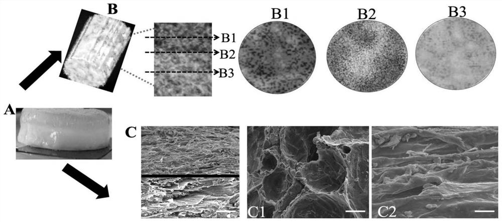 Double cross-linked integrated seamless composite hydrogel scaffold for articular cartilage repair