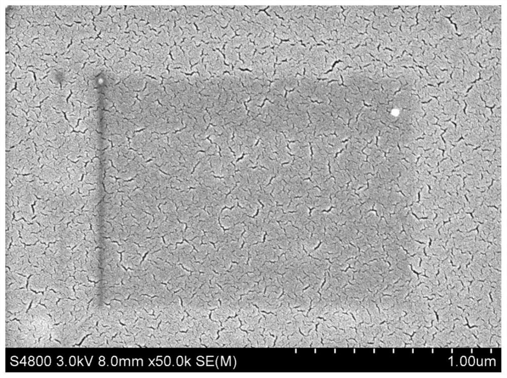 A high-throughput positively charged nanofiltration membrane and preparation method thereof