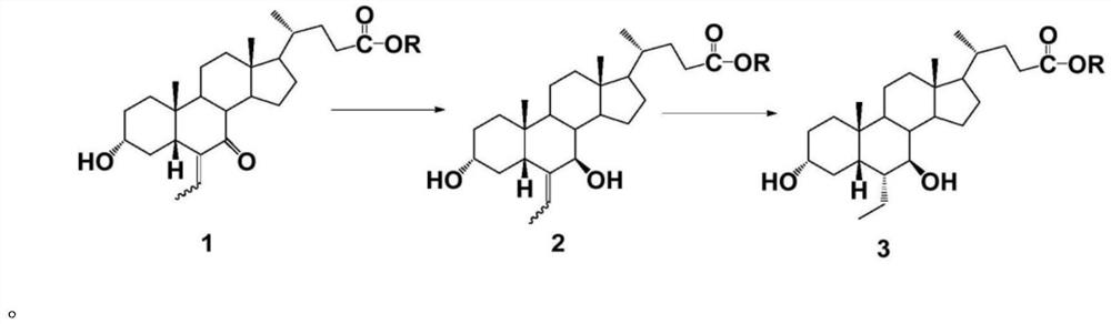 A kind of preparation method of 6-alpha-ethyl-7-keto gallstone acid