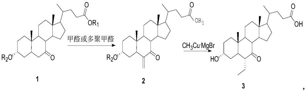 A kind of preparation method of 6-alpha-ethyl-7-keto gallstone acid