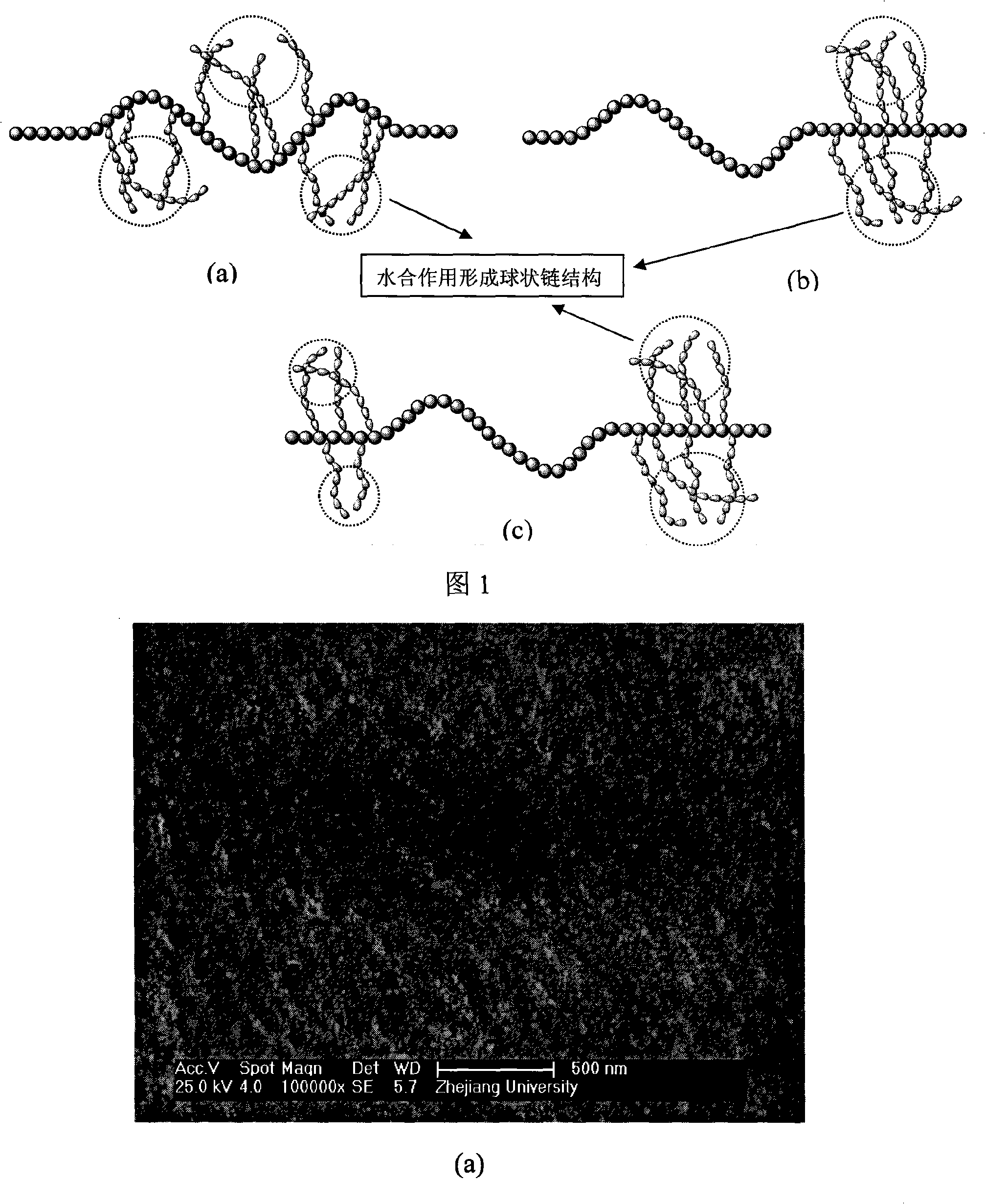 Method for modifying polyvinylidene fluoride ultrafiltration membrane by amphiphilic co-polymer