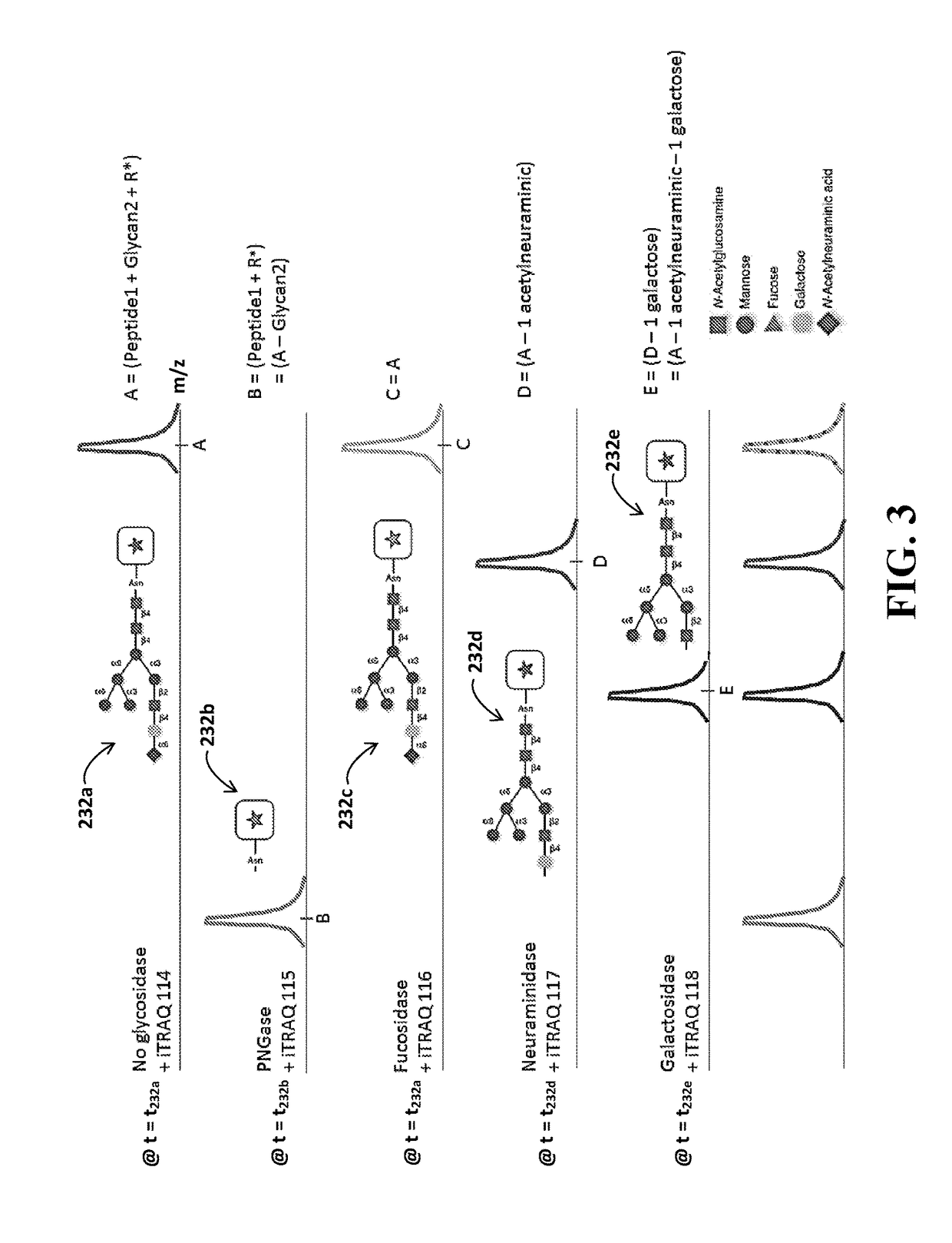 Identification of Glycosylation Forms