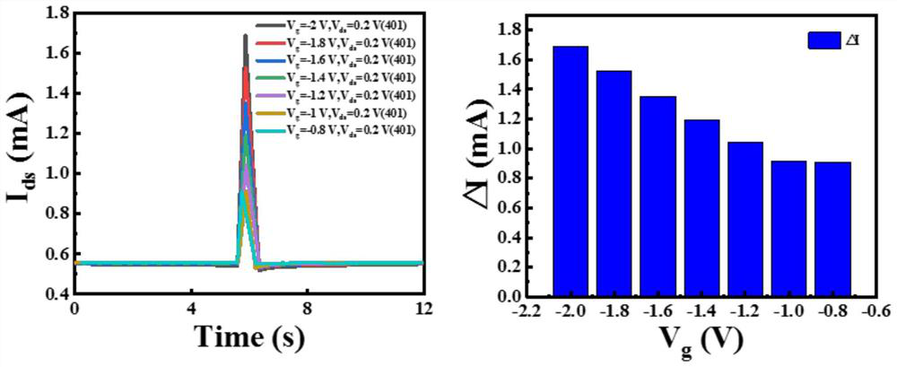 Terylene/boron nitride/polypyrrole composite conductive fiber and fiber-based nerve synapse transistor device