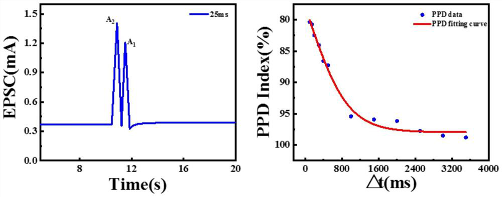 Terylene/boron nitride/polypyrrole composite conductive fiber and fiber-based nerve synapse transistor device