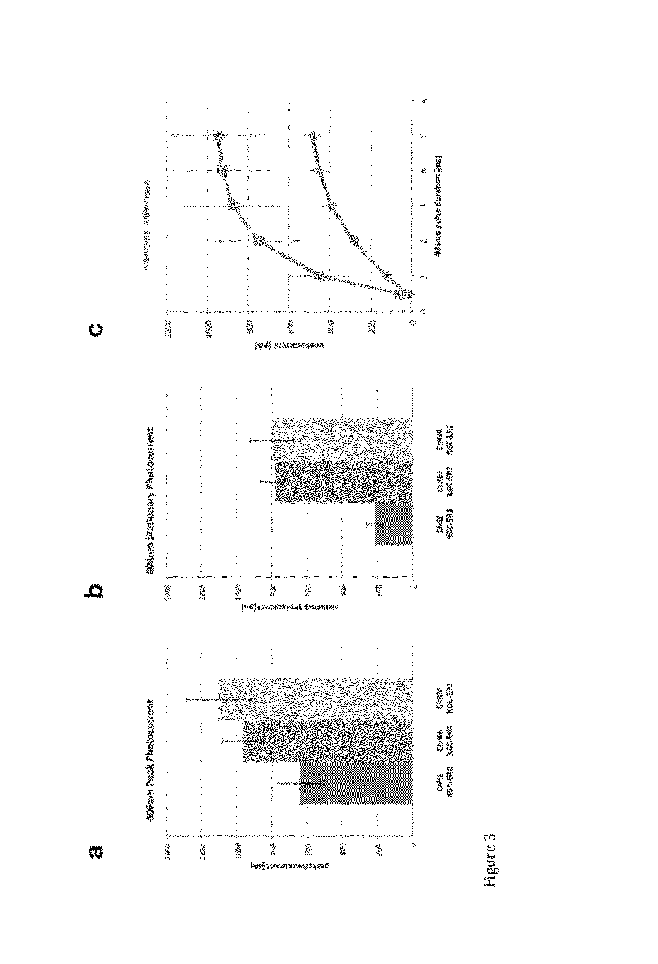 Light-activated ion channel molecules and uses thereof