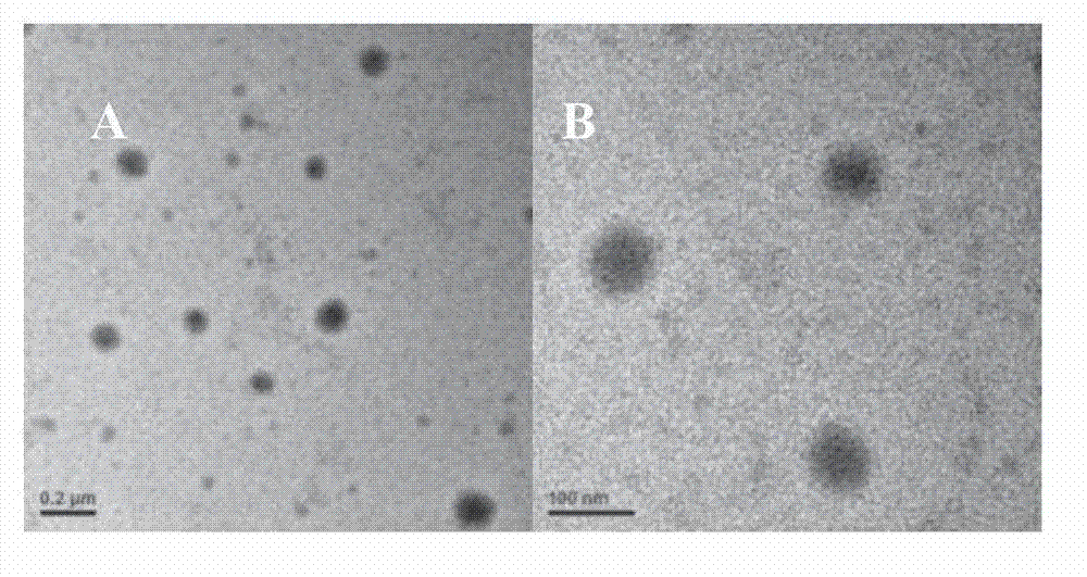 Slightly acidic environment targeted polypeptide modified tumor targeted nano drug delivery system, and preparation method thereof
