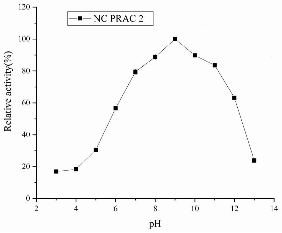 Proline racemase as well as preparation and application thereof