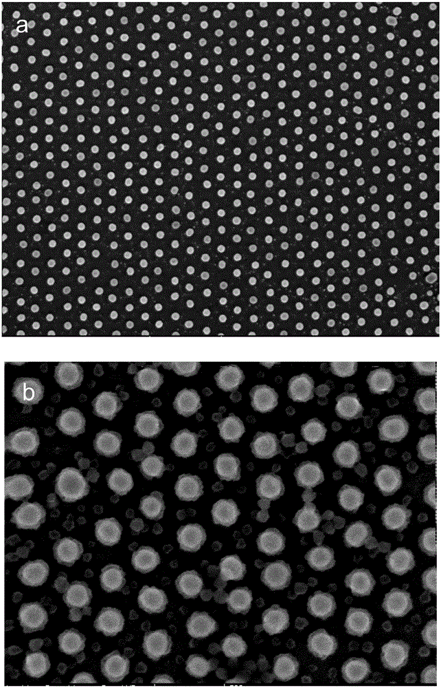 Gold@metal organic frame material nano-particle array and preparation method and application thereof