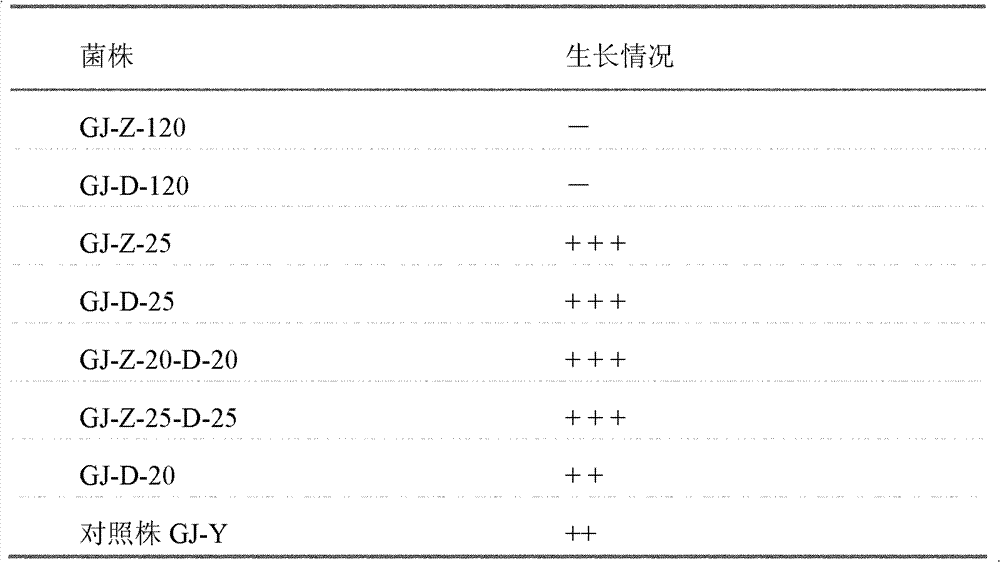 Gossypol degrading strain and application thereof