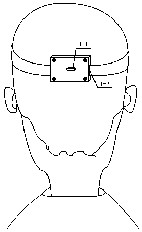 Head-mounted eye movement tracking device