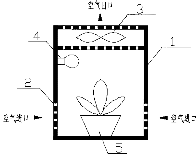 Photosynthesis-based forced convection air purification device