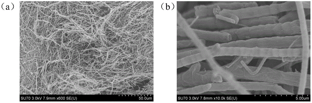 A kind of preparation method and product of nitrogen-doped carbon nanotube