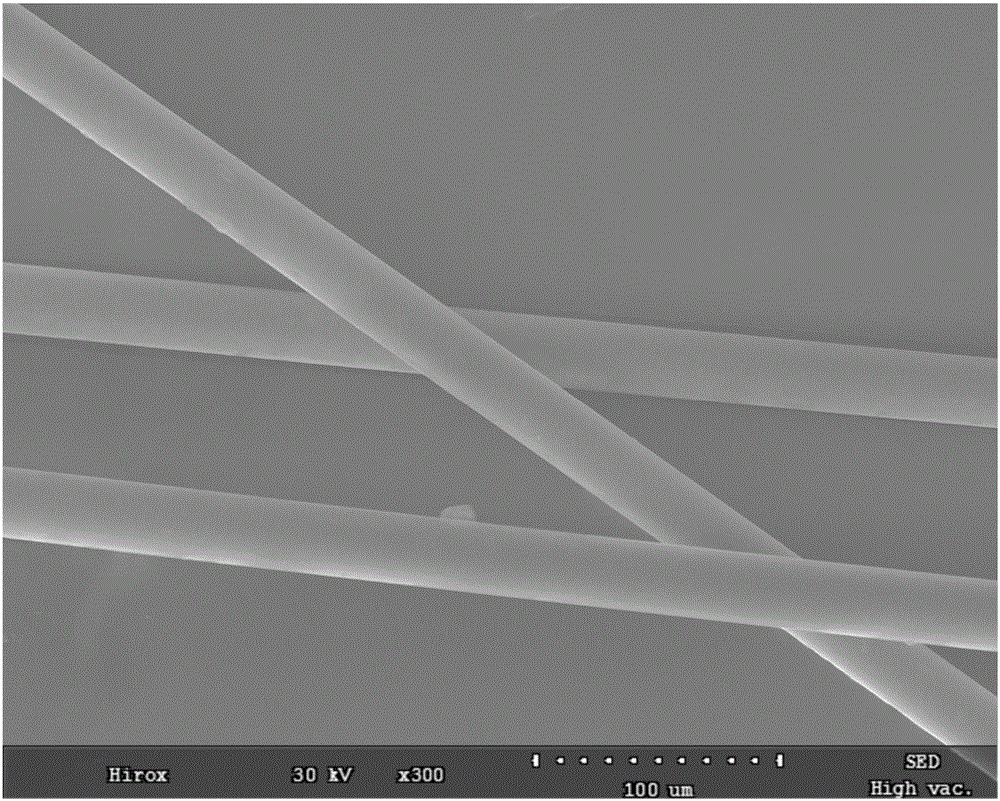 Ferromagnetic glass fiber, preparation method, and application of same