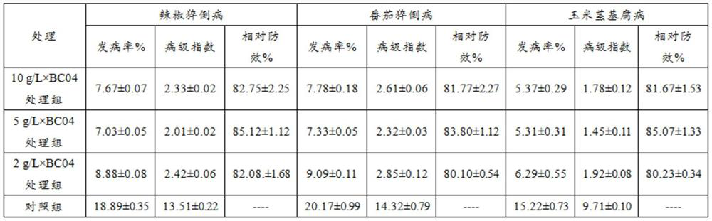 A kind of biocontrol bacterium bc04 and its bacterial agent, bacterial agent preparation method and application