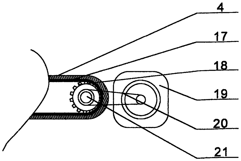 An ice and snow sports technical action and psychological quality training device