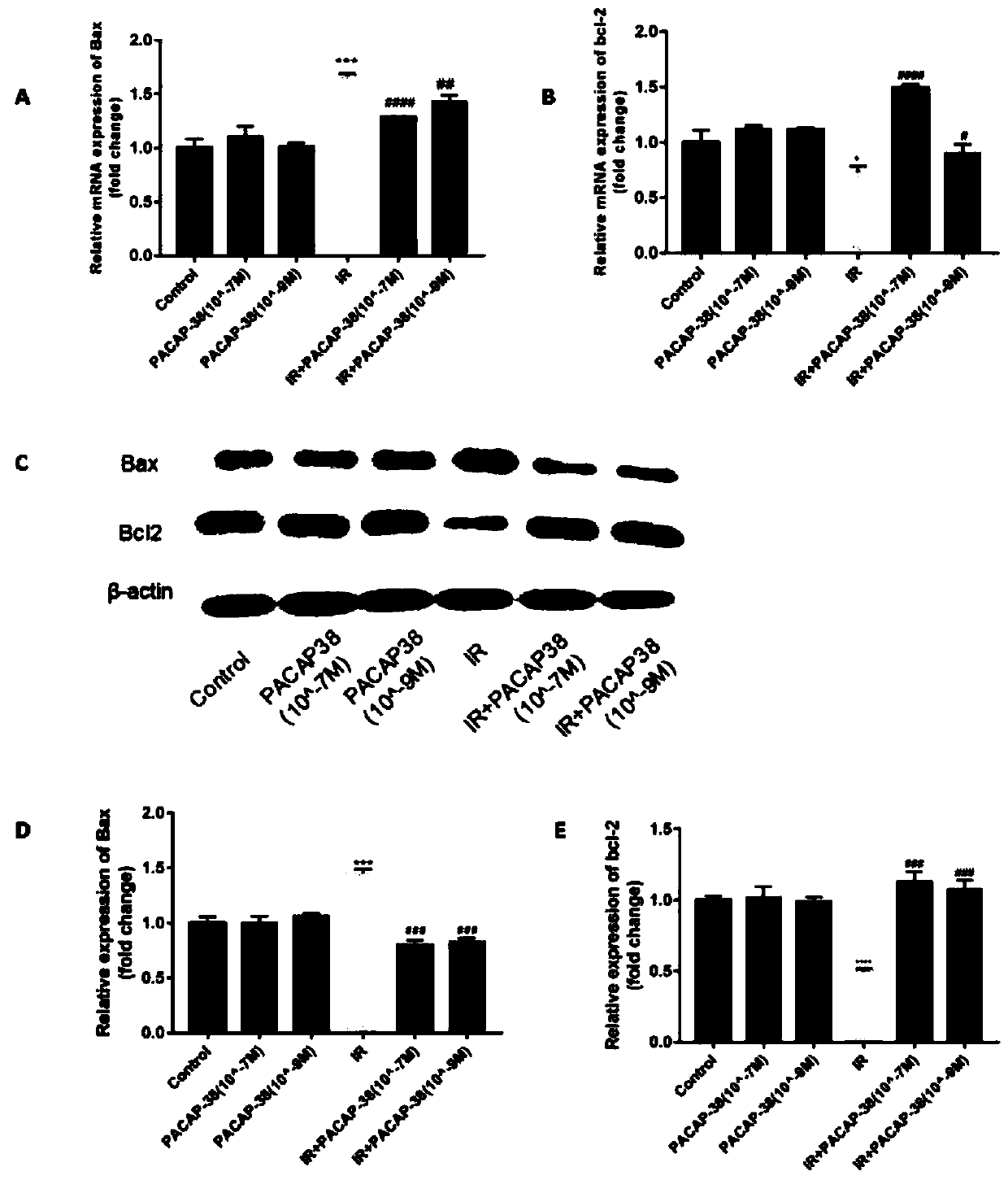 Application of bioactive polypeptide PACAP