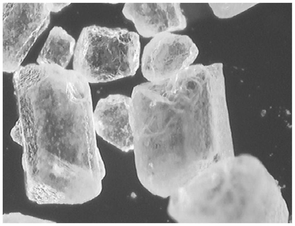 A kind of method that takes secondary amine as raw material to prepare crystalline thioaminocarboxylate