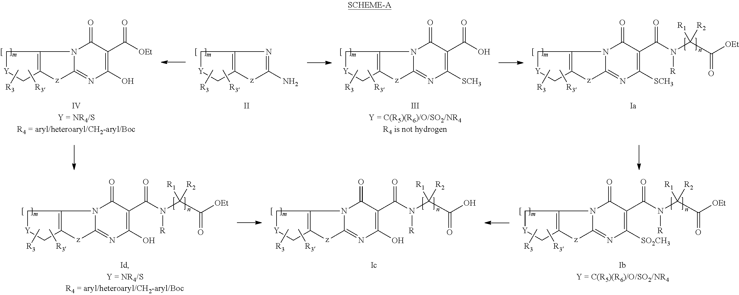 Novel fused thiazolo and oxazolo pyrimidinones
