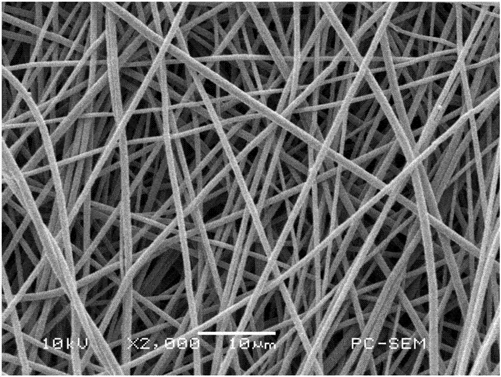 Preparation method of polymer electrolyte membrane based on silicon-based negative electrode material
