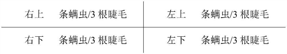 External traditional Chinese medicine composition for treating blepharitis and preparation method and application thereof