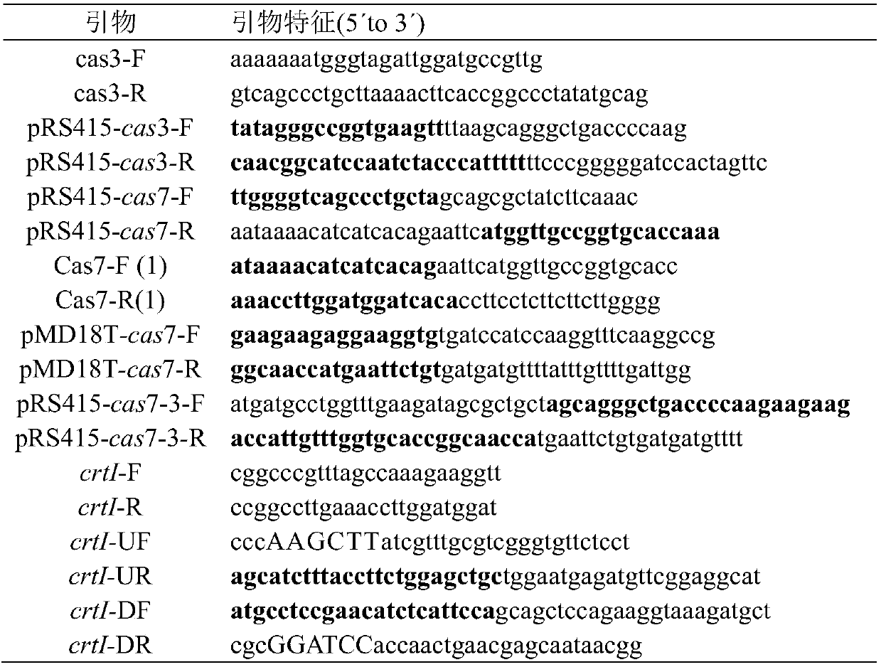 Eukaryotic gene editing method based on gene cas7-3 in I type CRISPR-Cas system