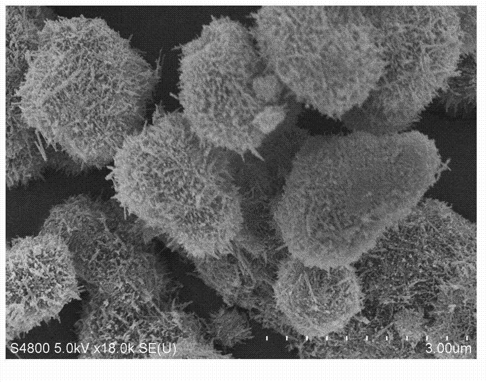 Preparation method of three-dimensional echinoid ZnS/CdS composite semiconductor photocatalytic nano material