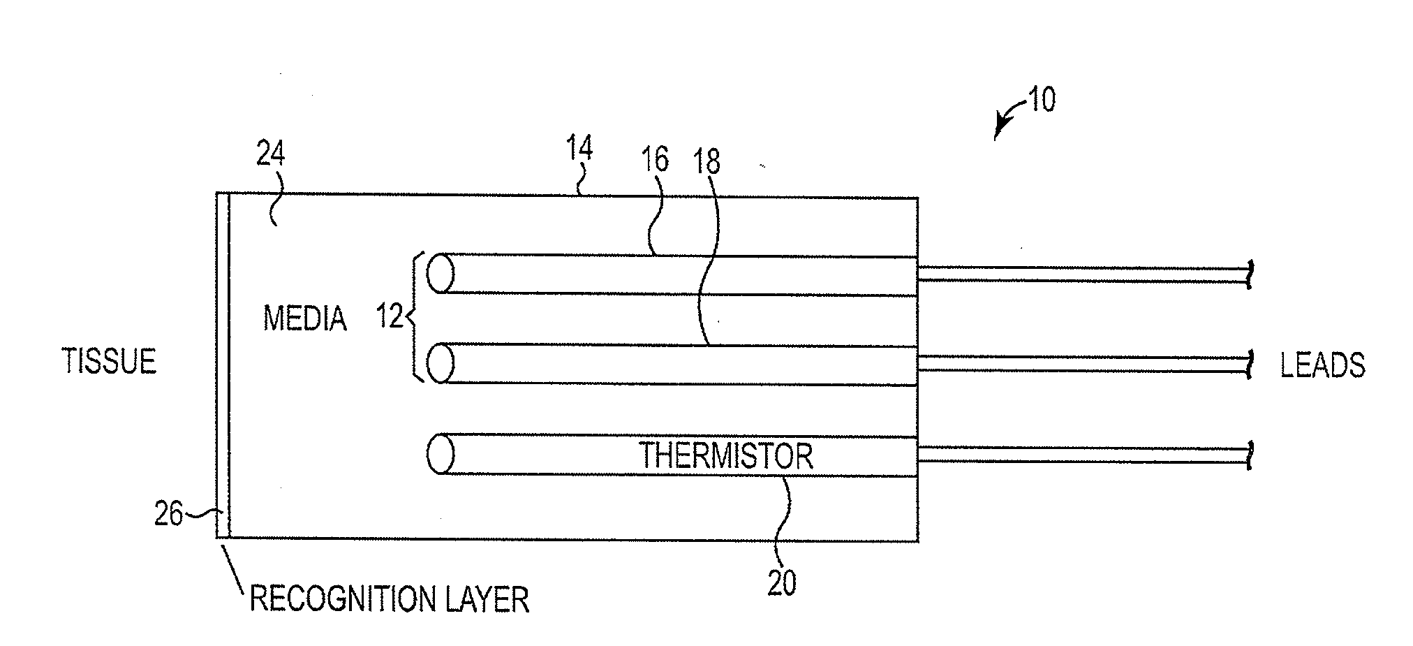 Carbon dioxide gas measurement system and method