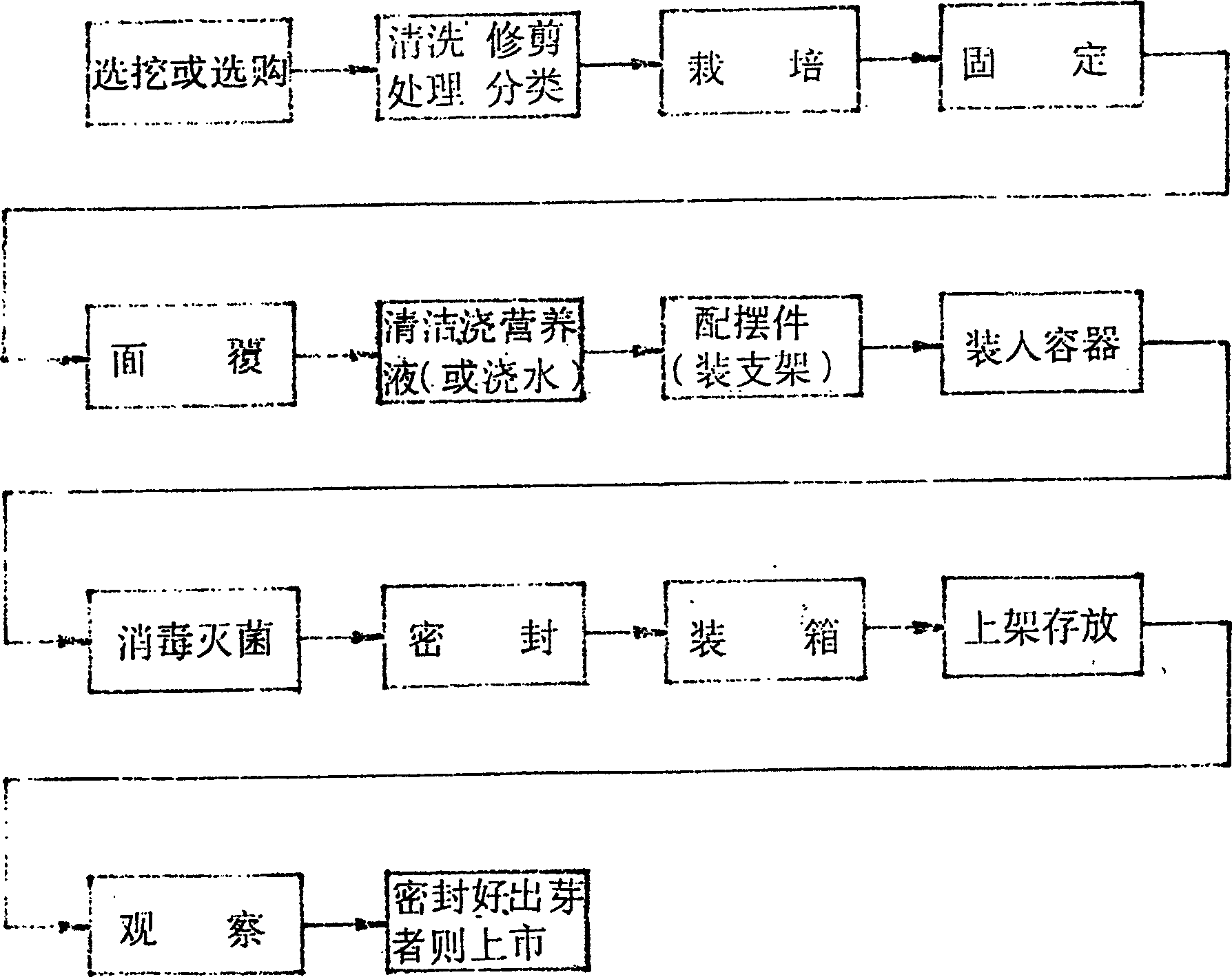 Production technology of sealed packed potted flowers and trees