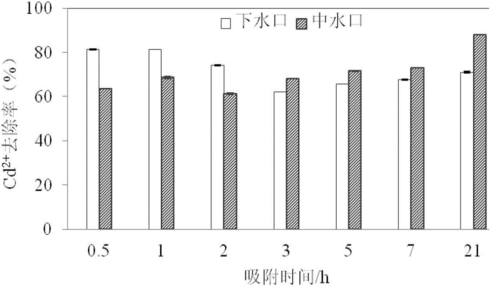 Method and device for purifying water body with heavy-metal pollution