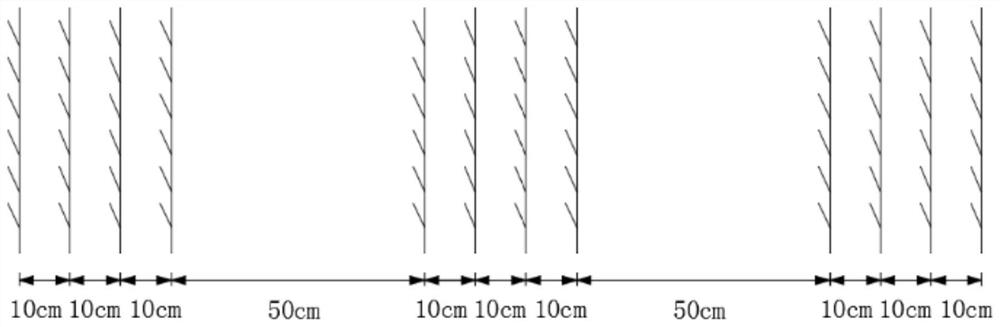 Application method of high-efficiency stable urea fertilizer in rice wide-narrow row cultivation