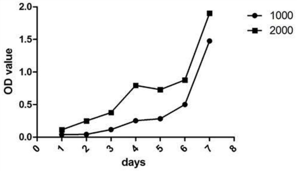 A Chinese lung adenocarcinoma cell line and its application