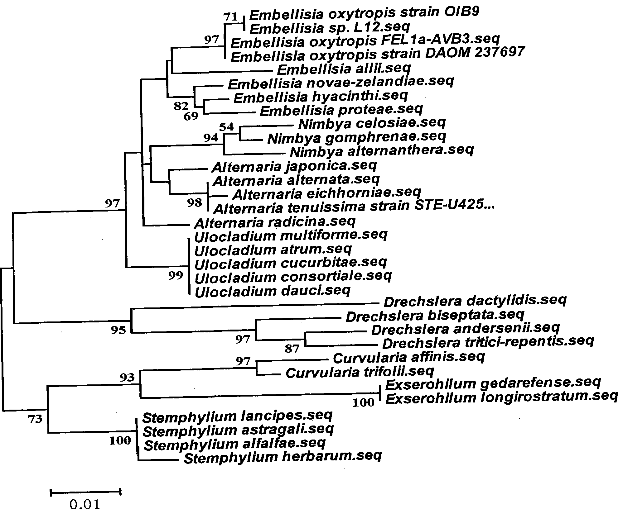 Embellisia oxytropis for synthesizing spherosin, preparation and use thereof