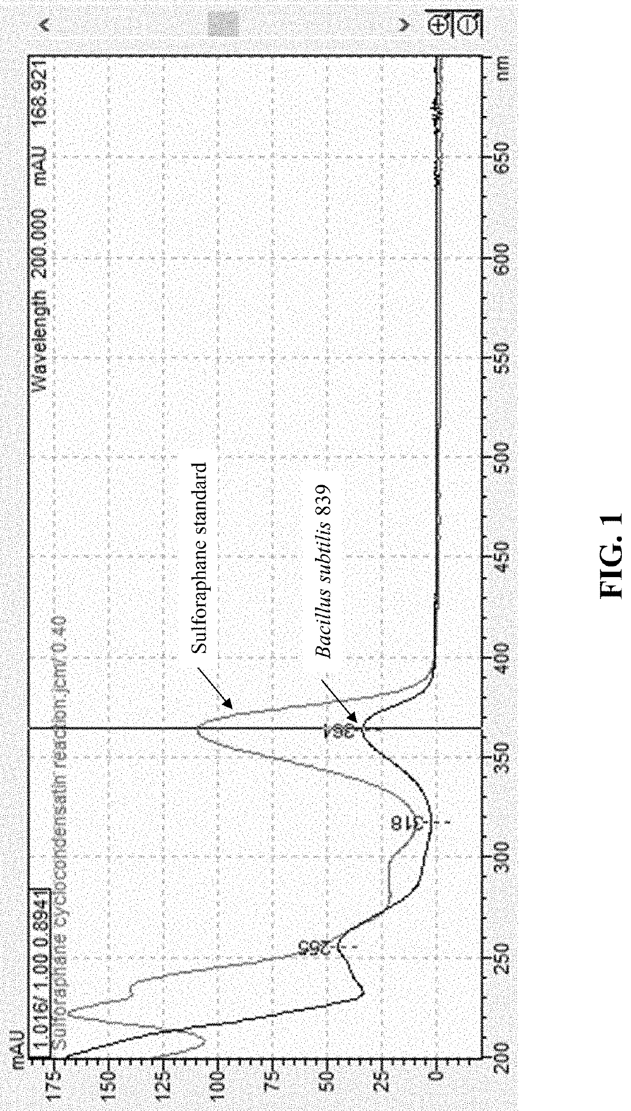 Compositions and methods to increase production of isothiocyanates