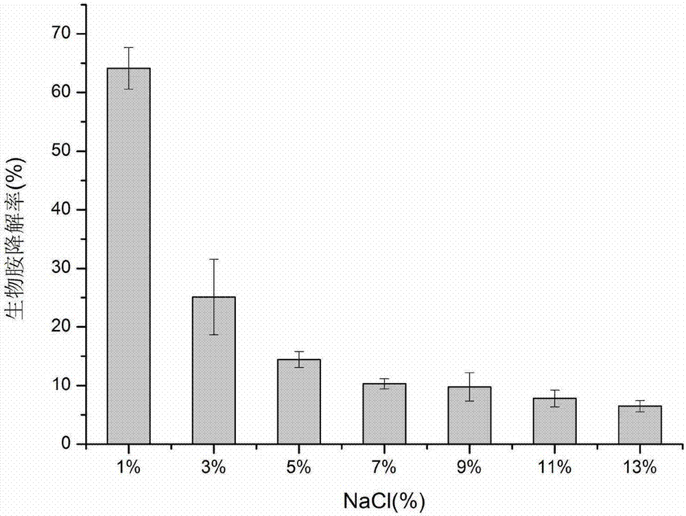 Bacillus subtilis strain capable of reducing biogenic amine content, and applications thereof