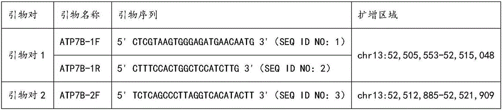 ATP7B (ATPase Cu2+transporting beta polypeptide) gene mutation detection primer set and kit, ATP7B gene mutation detection method and uses of ATP7B gene mutation detection primer kit