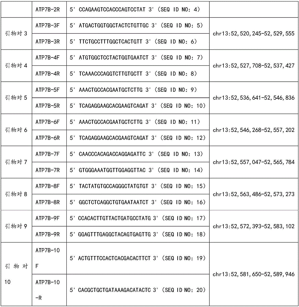 ATP7B (ATPase Cu2+transporting beta polypeptide) gene mutation detection primer set and kit, ATP7B gene mutation detection method and uses of ATP7B gene mutation detection primer kit