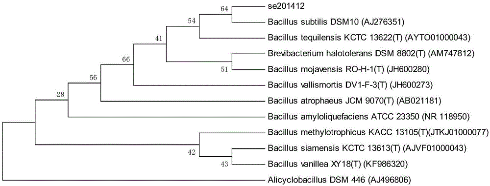 Bacillus subtilis SE201412 and organic-selenium-rich bactericide
