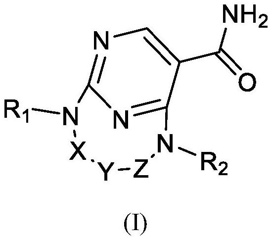 JNK inhibitor, pharmaceutical composition and application