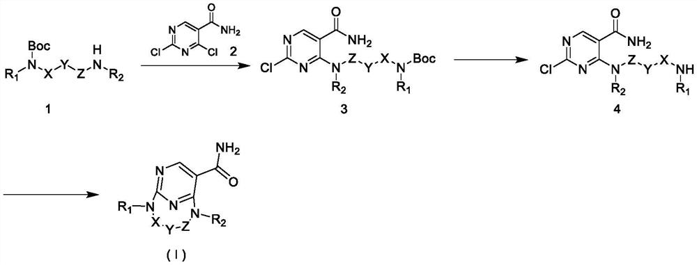 JNK inhibitor, pharmaceutical composition and application