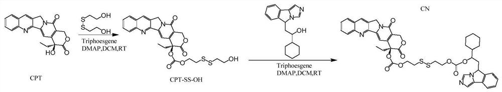 A camptothecin-based dimer compound, its preparation and application