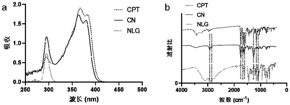 A camptothecin-based dimer compound, its preparation and application