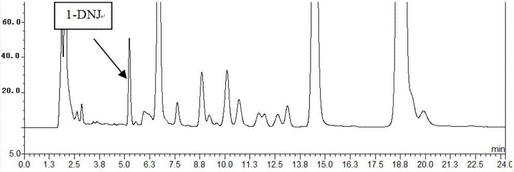 Method of cultivation of Cordyceps Militaris of 1-deoxynojirimycin enrichment