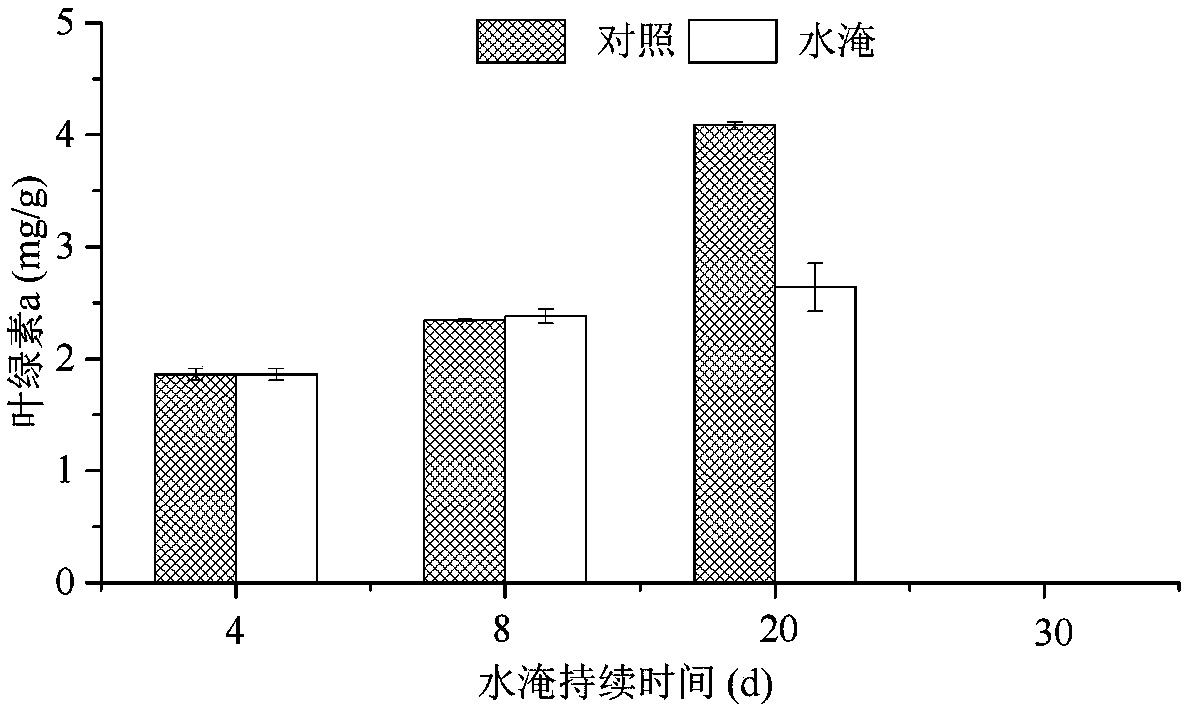 A method of repairing the water-fluctuating zone of a reservoir by using bermudagrass