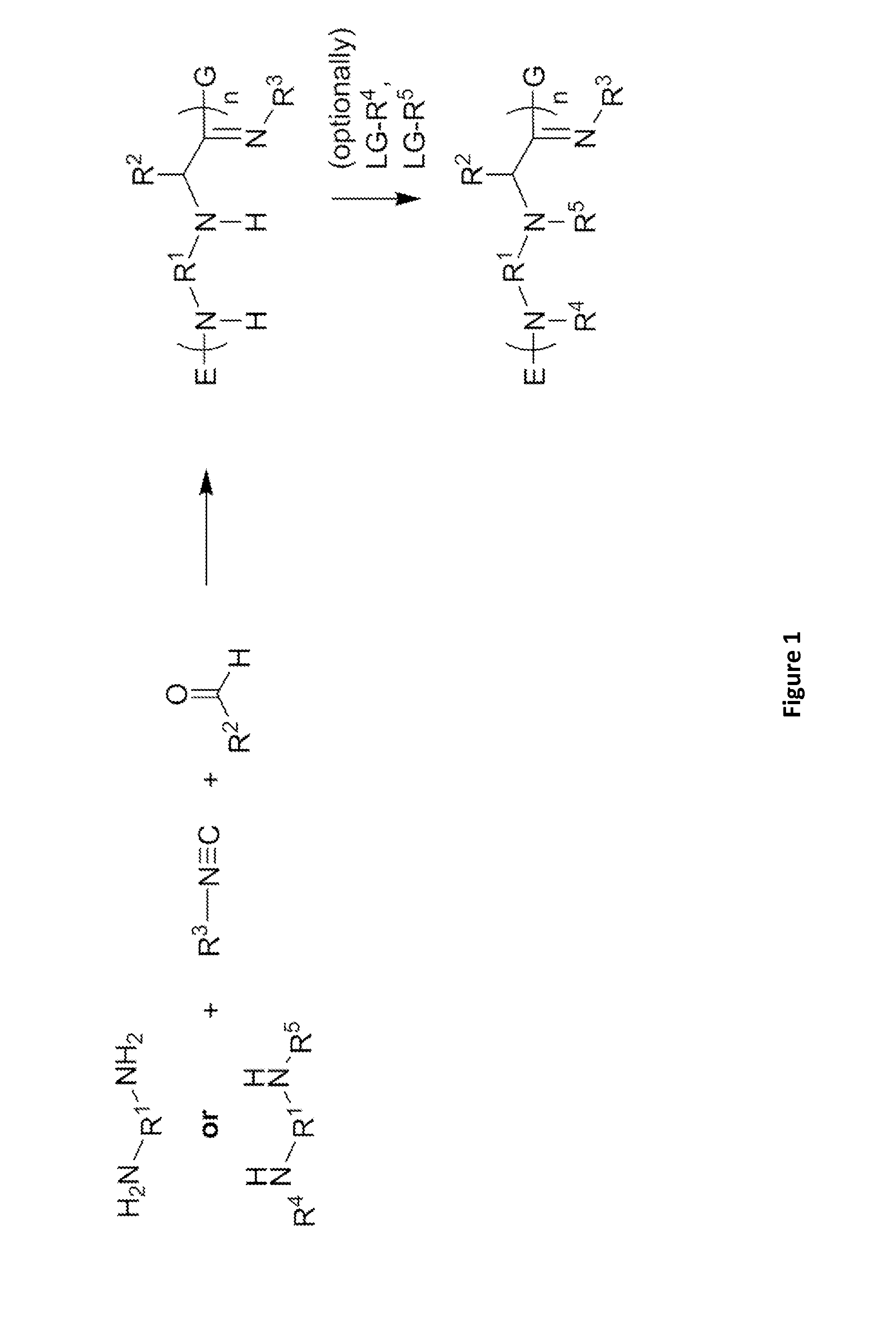 Alpha-aminoamidine polymers and uses thereof