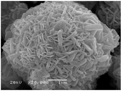 Ternary cathode material and preparation method of the material and its precursor