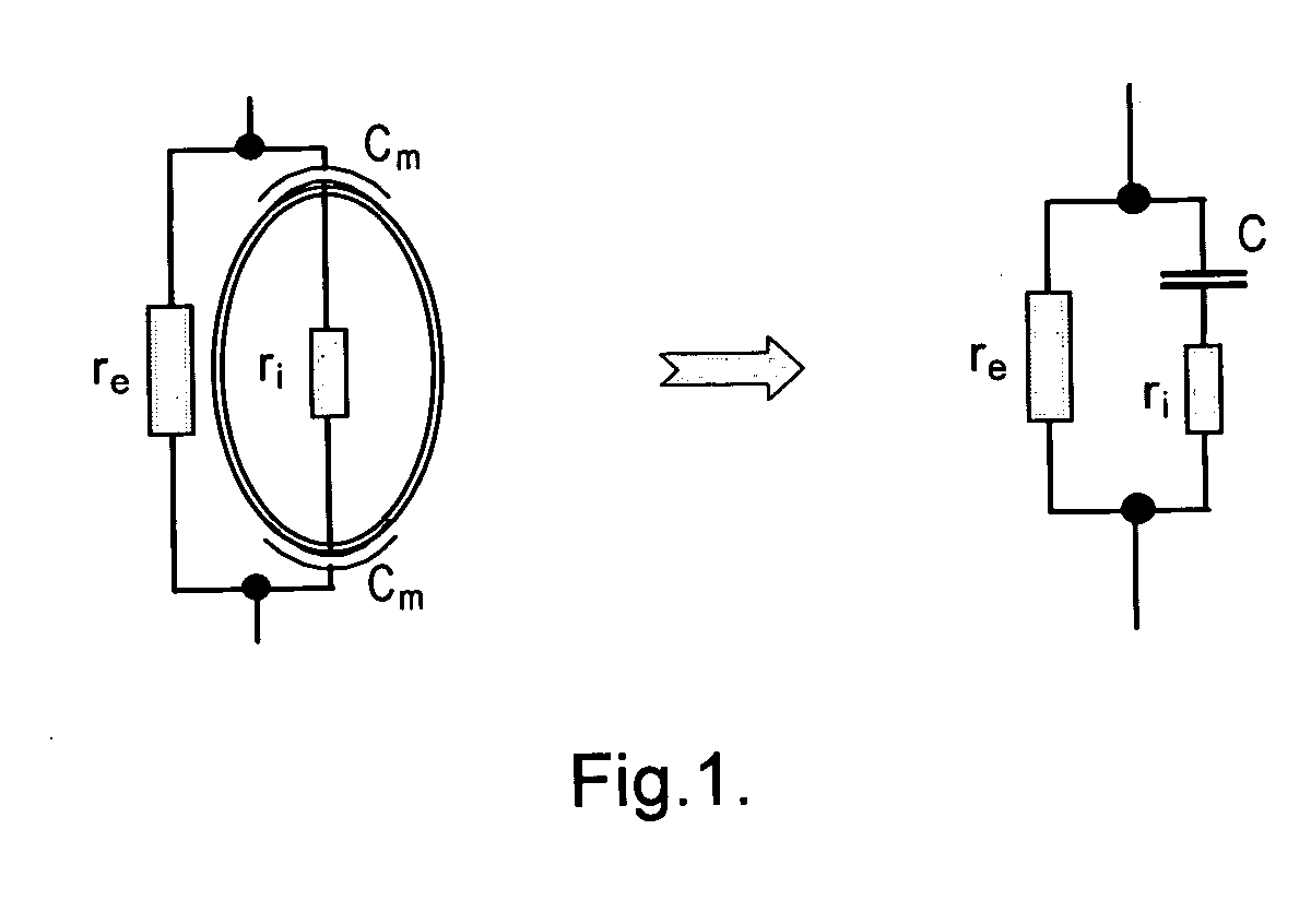 Method and apparatus for determining conditions of a biological tissue