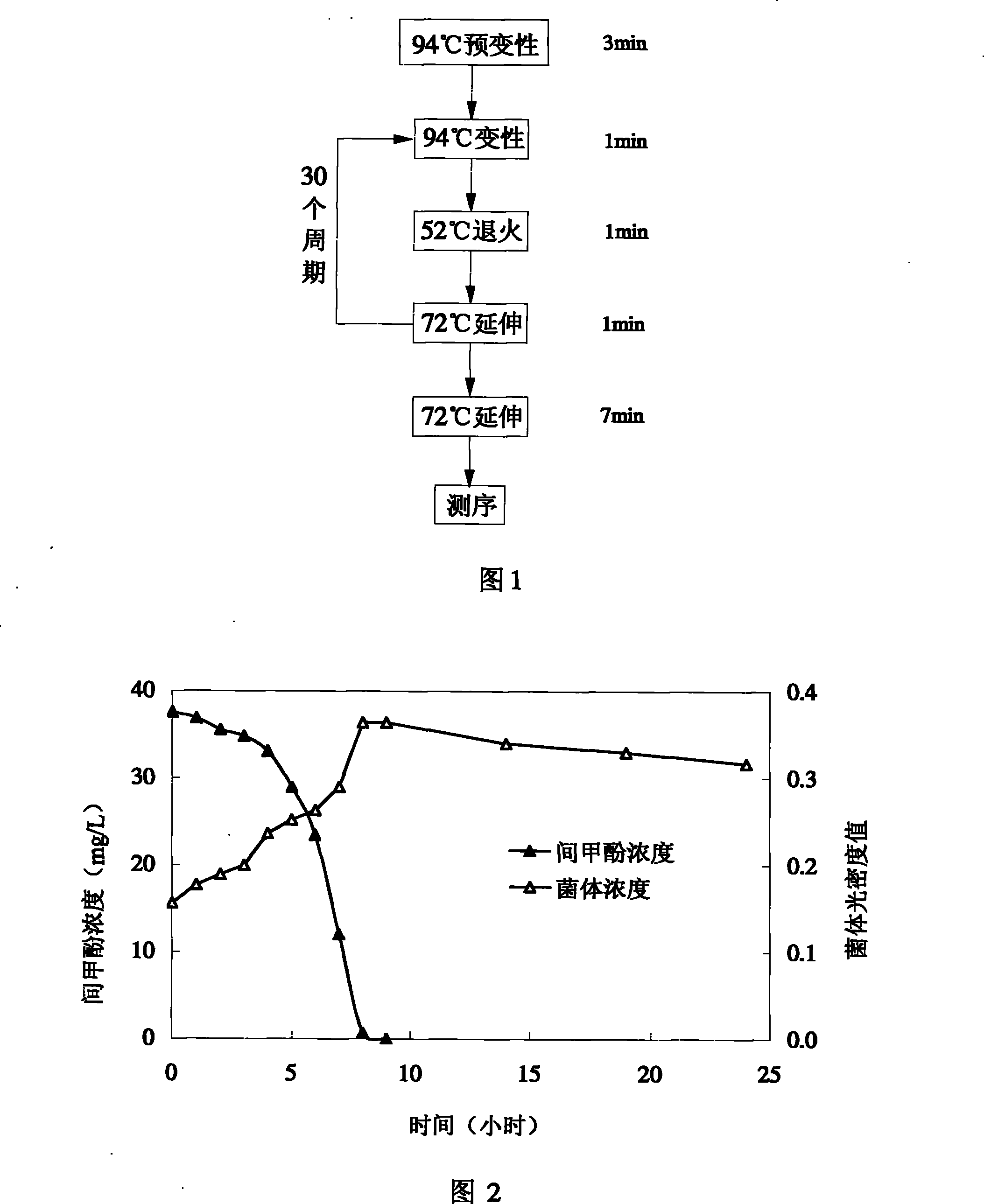 Citrobacter farmeri Citrobacter farmeriSC01 and application thereof