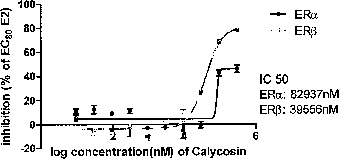 Application of calycosin in radix astragali in preparing medicament for vascular protection and angiogenesis promotion